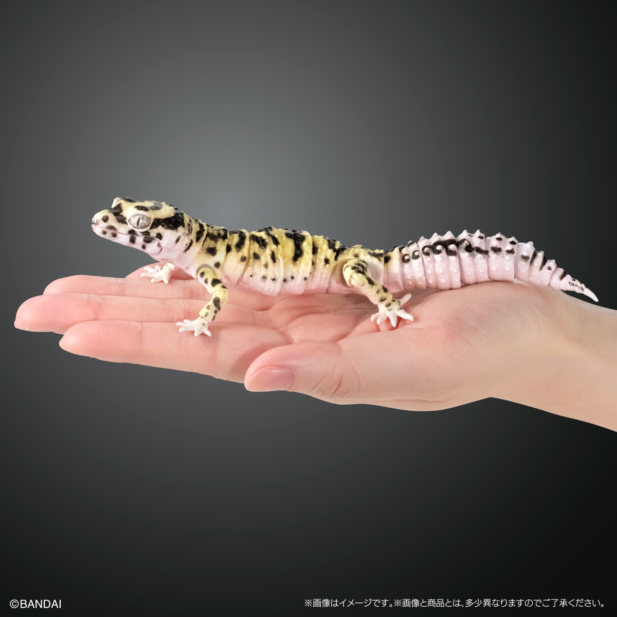 いきもの大図鑑アドバンス SELECTED EDITION 02