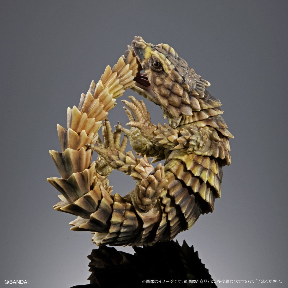 いきもの大図鑑アドバンス SELECTED EDITION 02