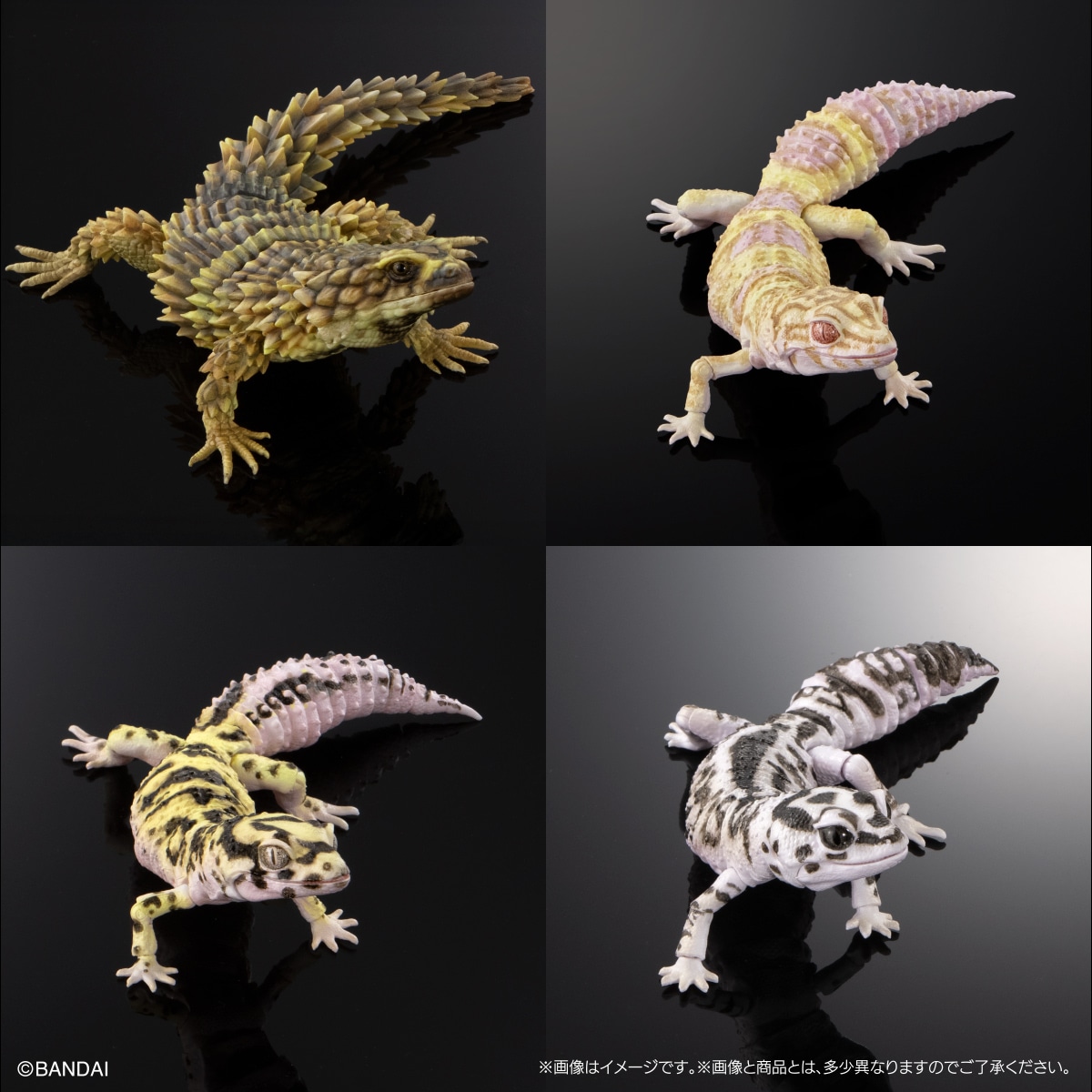 いきもの大図鑑アドバンス SELECTED EDITION 02