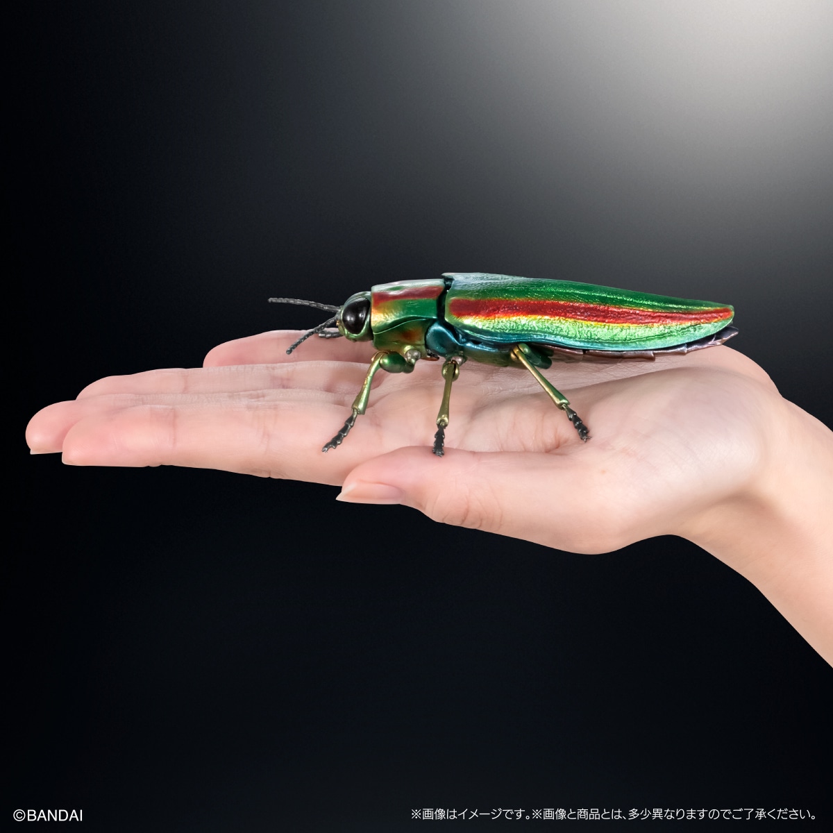 いきもの大図鑑アドバンス　タマムシとウグイスコガネ　ディスプレイスタンド＆樹皮台座（中）セット
