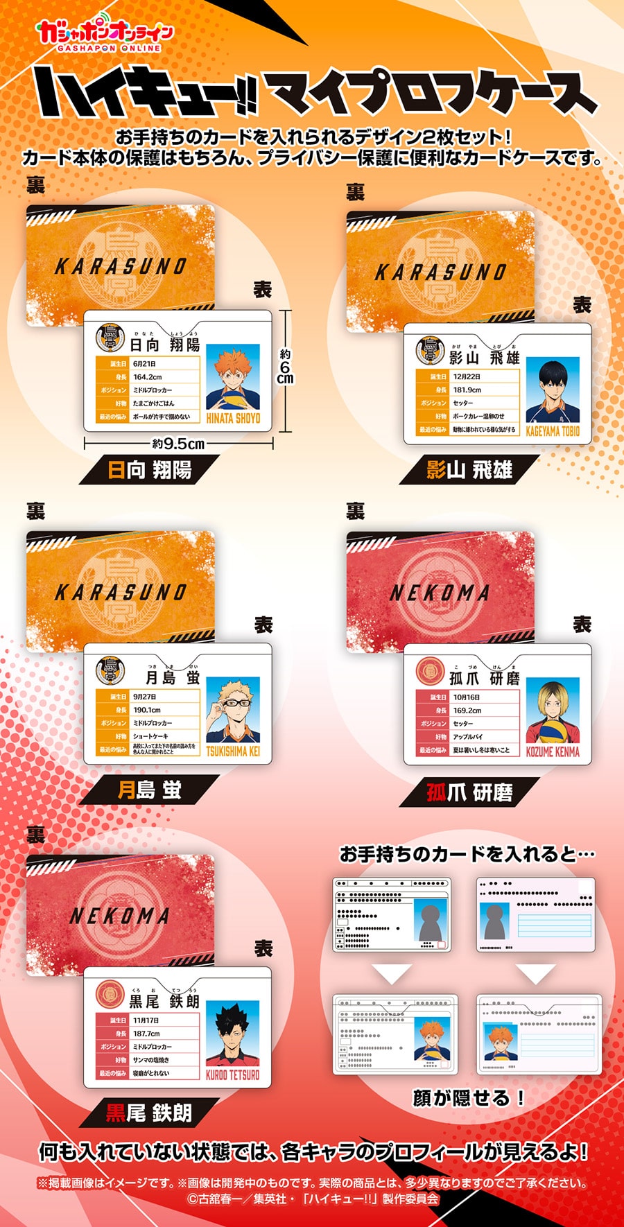 【フラットガシャポン】ハイキュー!! マイプロフケース
