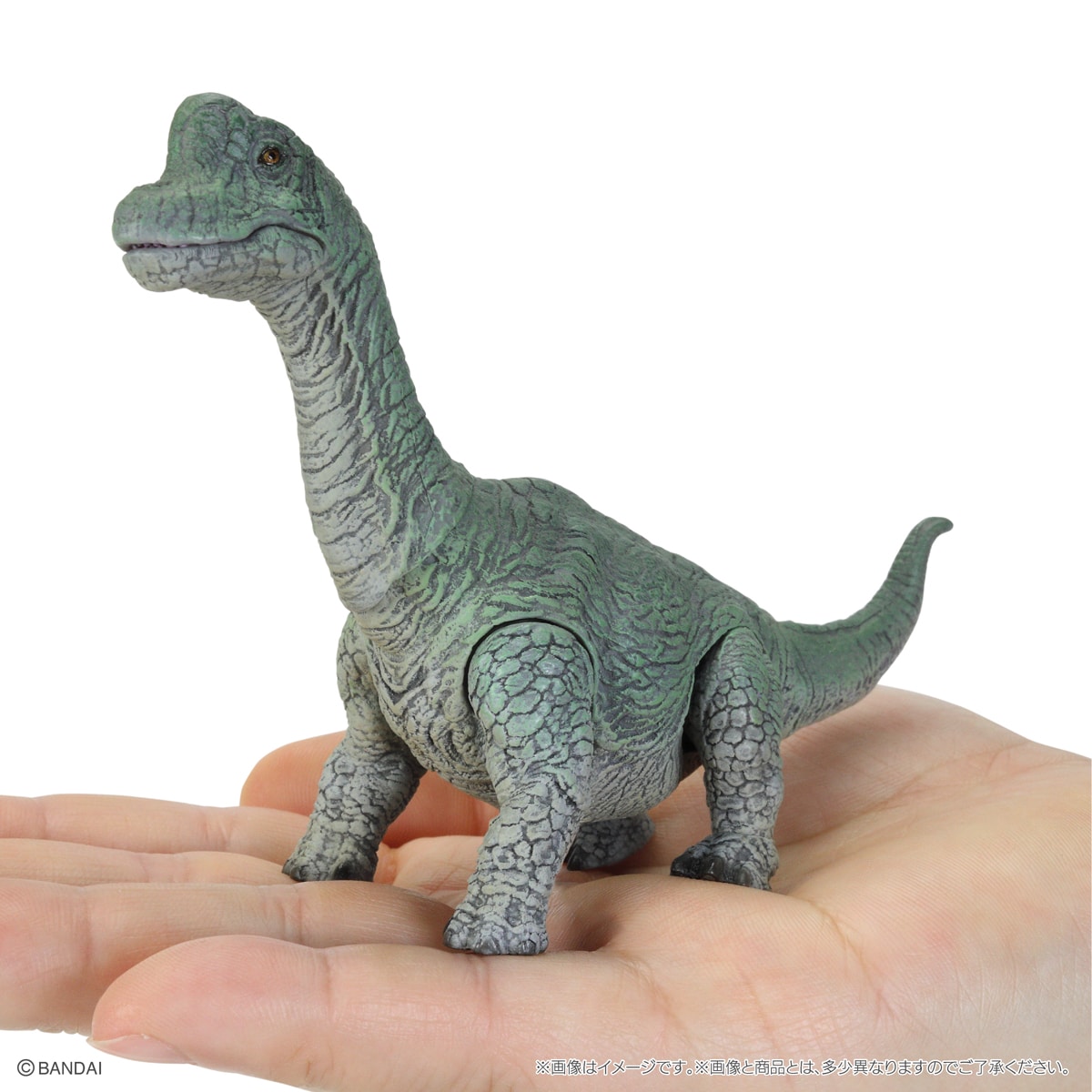 いきもの大図鑑レプティ 恐竜05