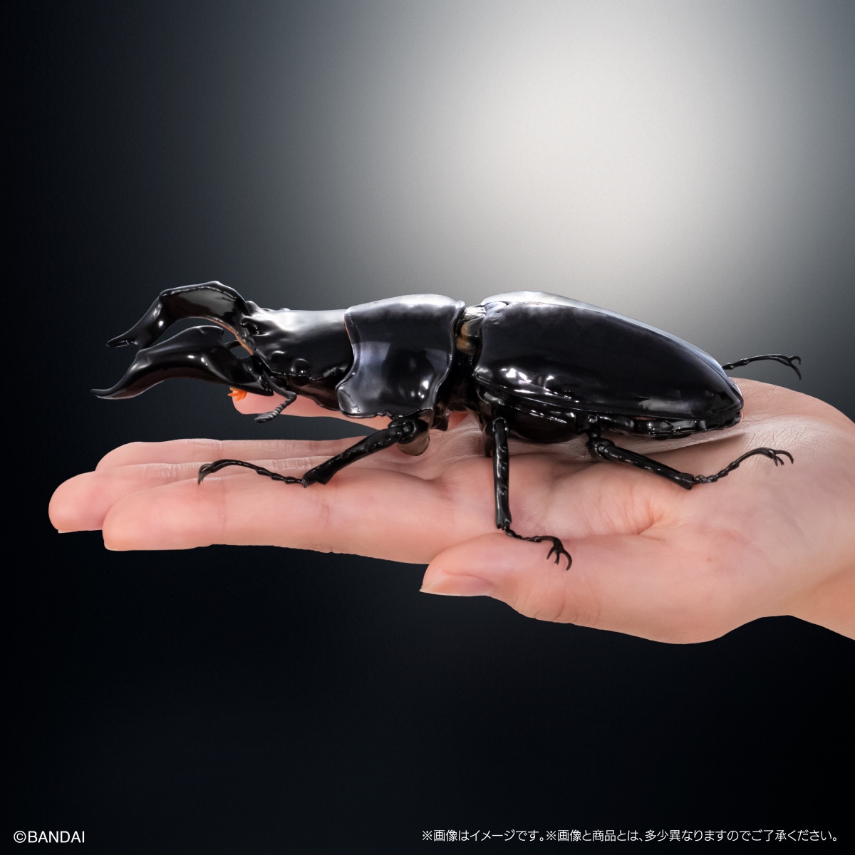 いきもの大図鑑アドバンス　クワガタ03　ディスプレイスタンド＆樹皮台座（中）セット
