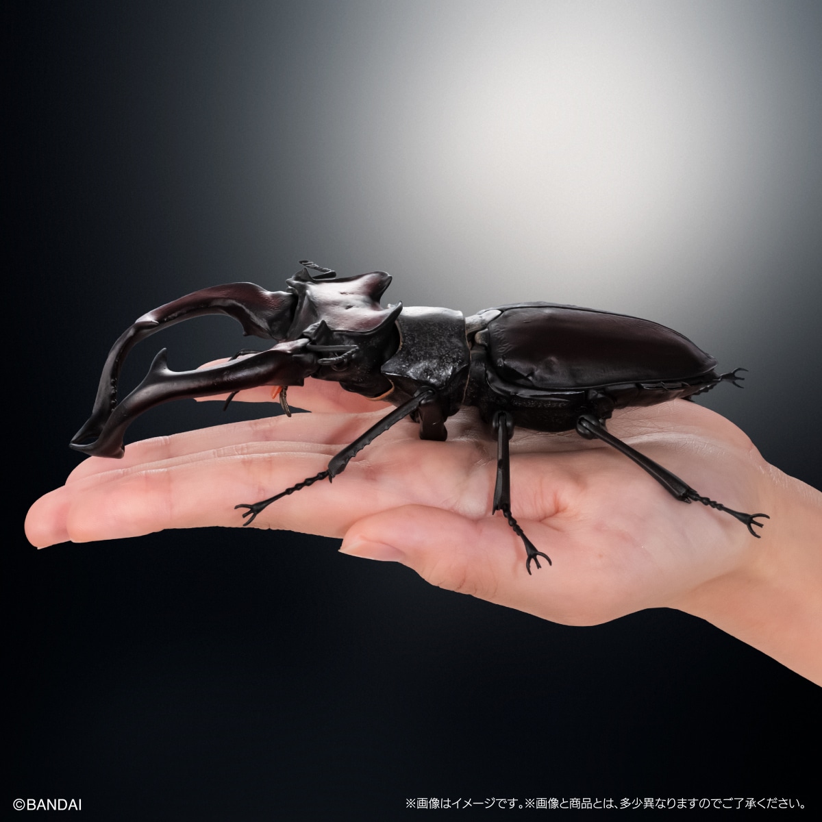 いきもの大図鑑アドバンス　クワガタ03　ディスプレイスタンド＆樹皮台座（中）セット