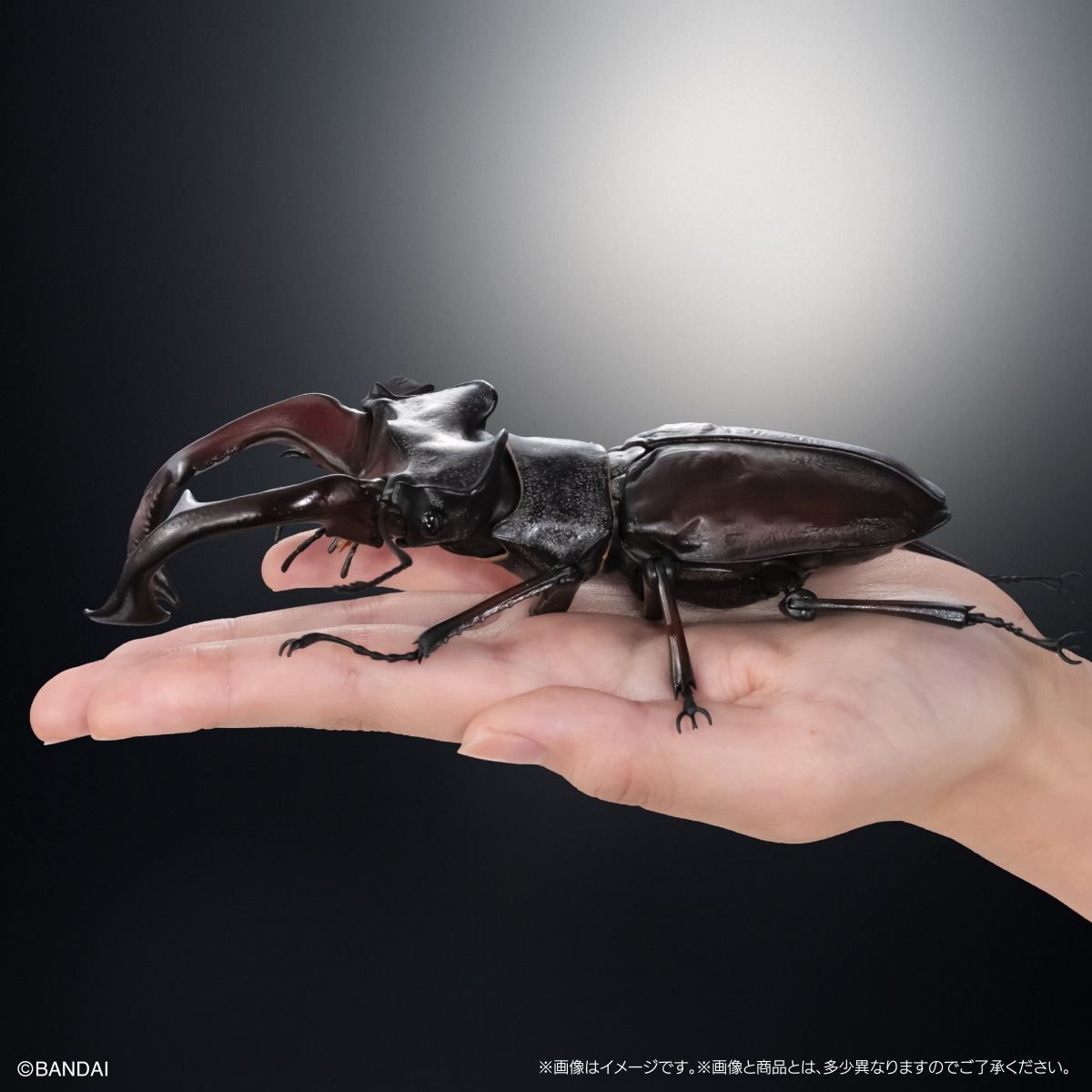 いきもの大図鑑アドバンス　クワガタ03　ディスプレイスタンド＆樹皮台座（中）セット