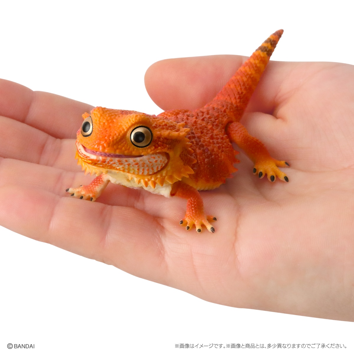 いきもの大図鑑レプティ　フトアゴヒゲトカゲ【2023年5月発送】