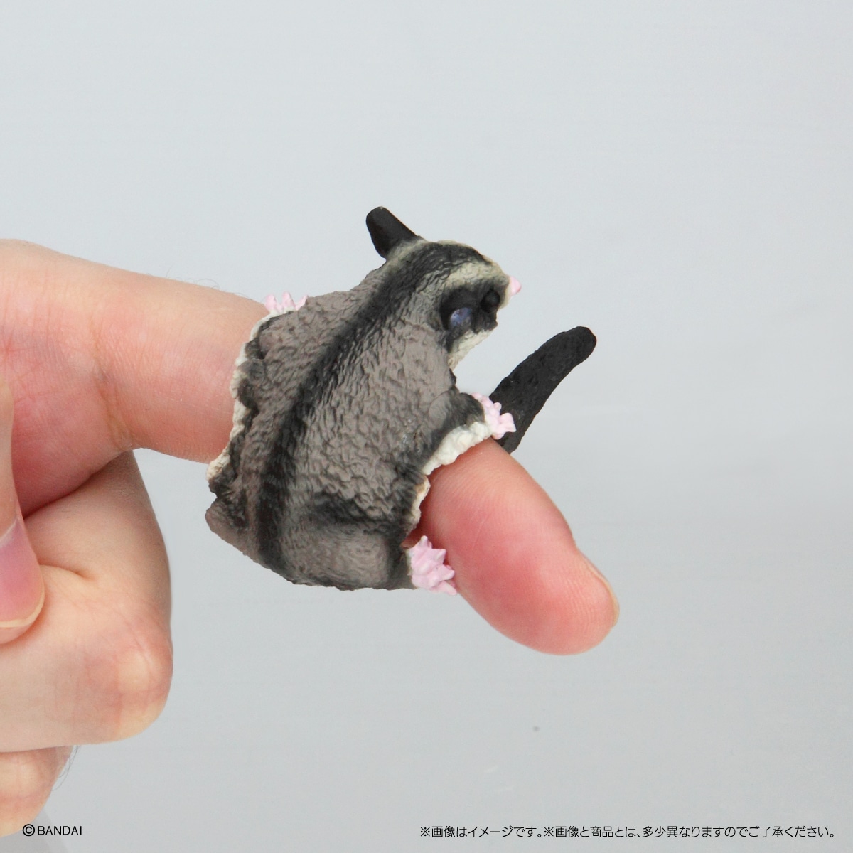 いきもの大図鑑指まきコレクション　小動物【2023年5月発送】