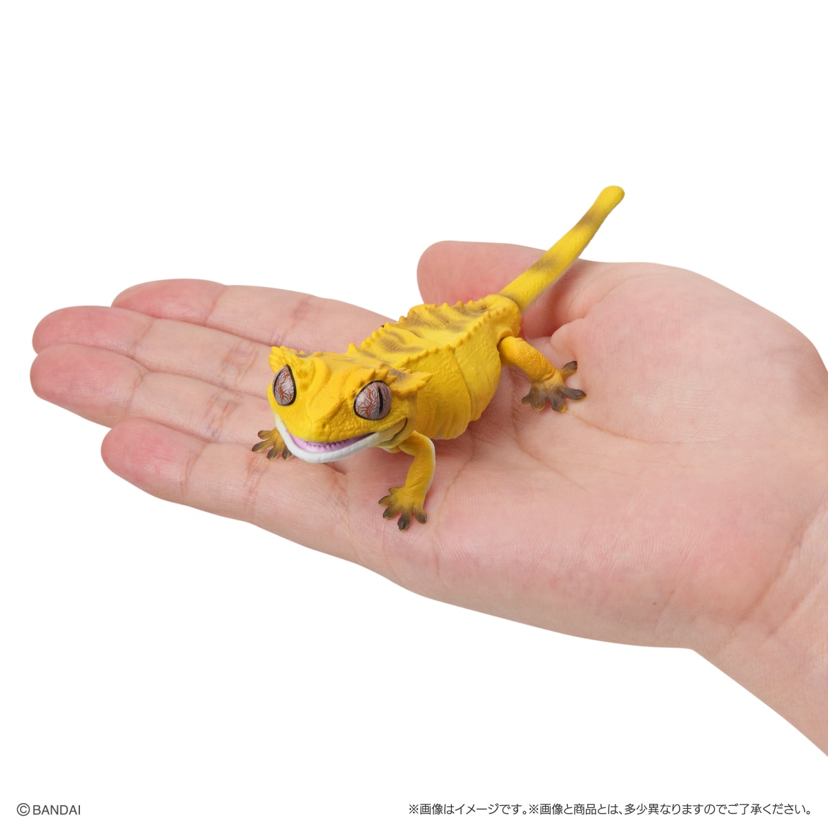 いきもの大図鑑レプティ クレステッドゲッコー【2023年4月発送